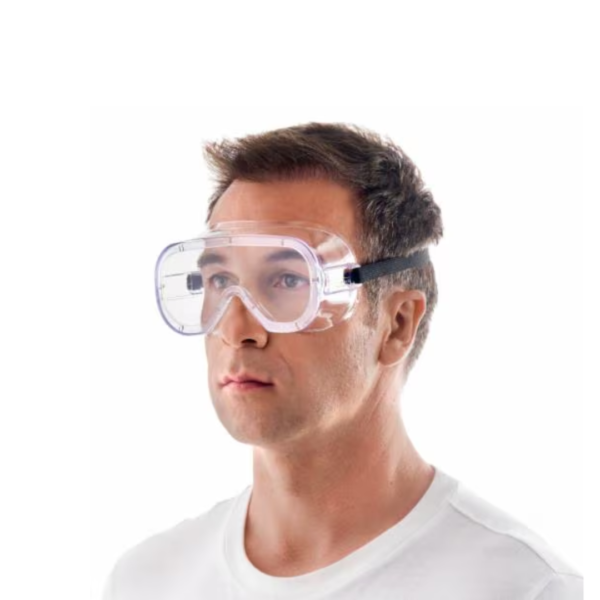 Safety Goggles Clear (2)