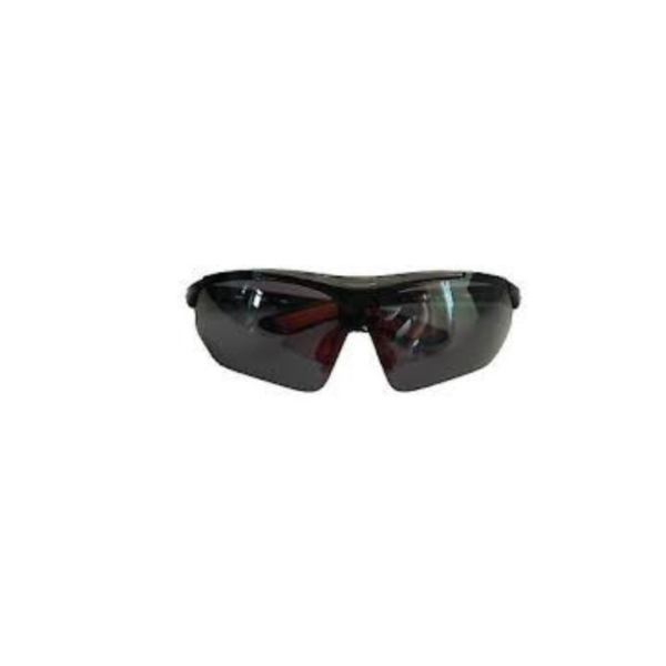 _RH-9028 _RH-9028
